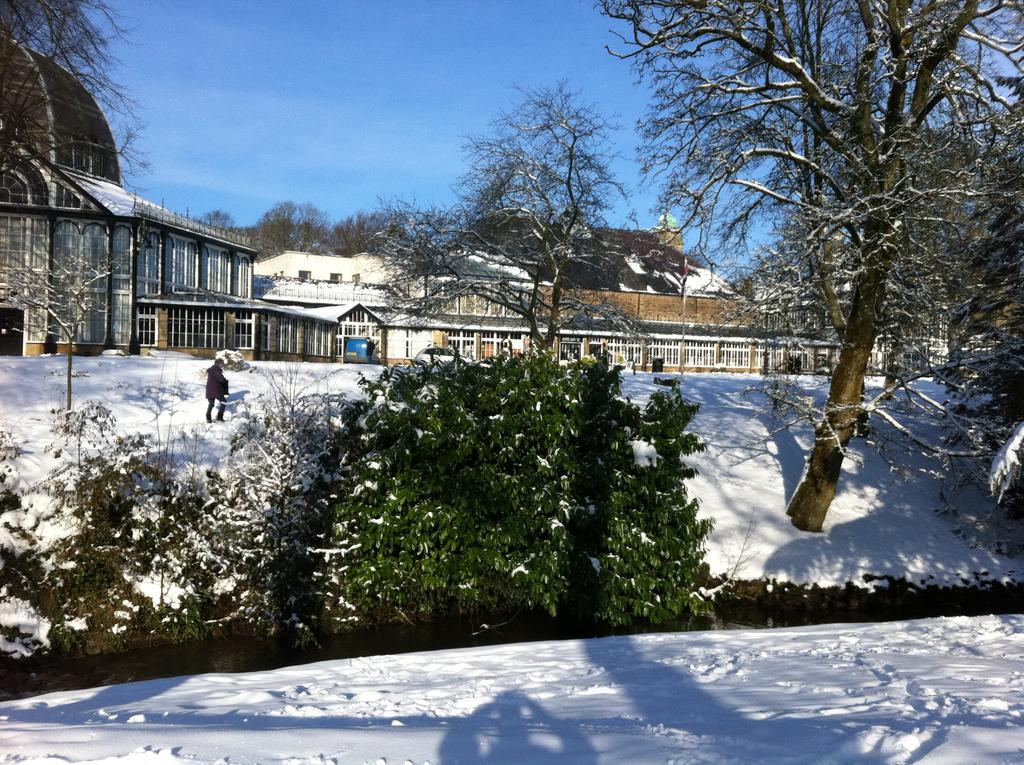 Solomons Peak Apartment Buxton  Dış mekan fotoğraf